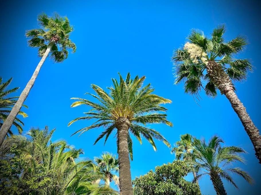 Port-Frejus, Le Paladien, Appartement 2 Pieces Climatise, Terrasse & Parking Exterior foto
